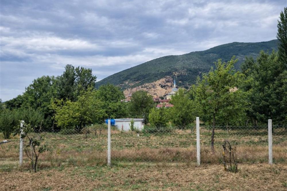 Sakarya Geyve'de Satılık Bahçe