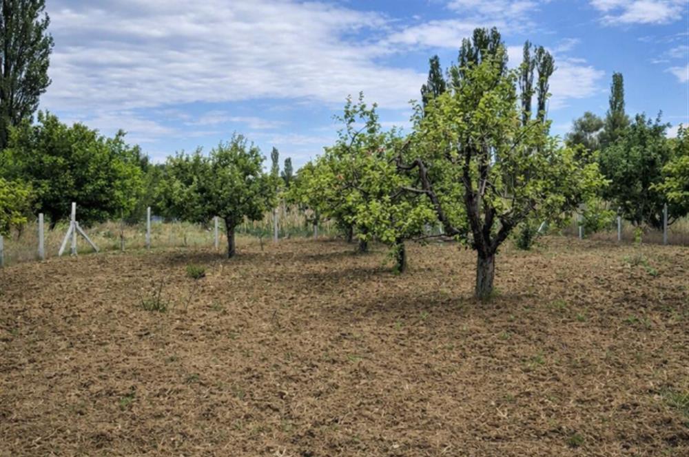 Sakarya Geyve'de Satılık Bahçe