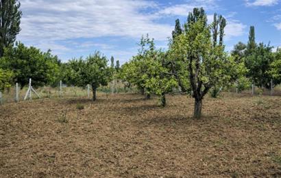 Sakarya Geyve'de Satılık Bahçe