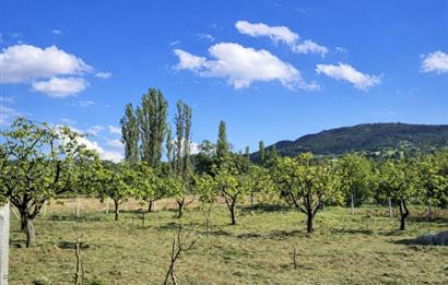 Sakarya Geyve'de Satılık Bahçe