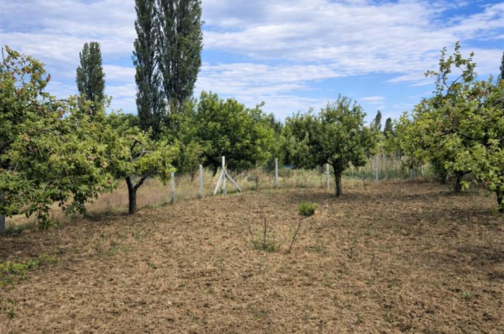 Sakarya Geyve'de Satılık Bahçe
