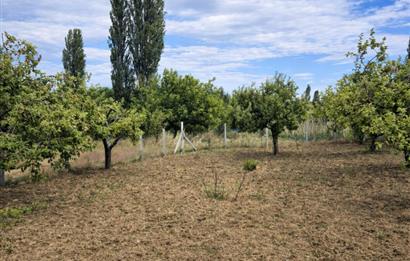 Sakarya Geyve'de Satılık Bahçe
