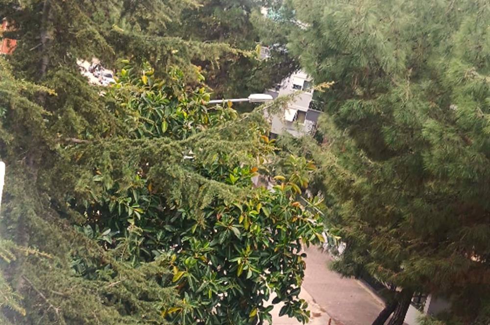 1299186107 Antalya Altınkum'da Satılık 3+1 Full Eşyalı Dubleks Daire 