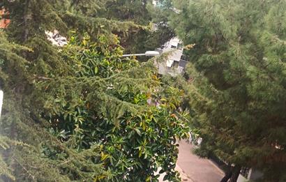 1299186107 Antalya Altınkum'da Satılık 3+1 Full Eşyalı Dubleks Daire 