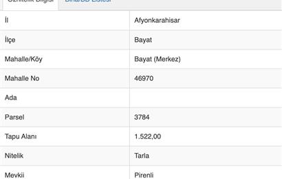 12.740 m² BAYAT'TA YATIRIM FIRSATI | ANKARA - İZMİR YOLUNA YAKIN