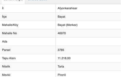 12.740 m² BAYAT'TA YATIRIM FIRSATI | ANKARA - İZMİR YOLUNA YAKIN