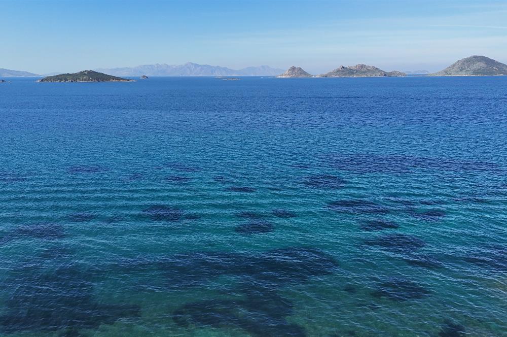 Turgutreis'te Satılık Özel Havuzlu Modern ve Lüks Villa