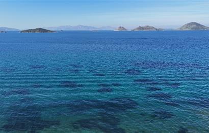 Turgutreis'te Satılık Özel Havuzlu Modern ve Lüks Villa