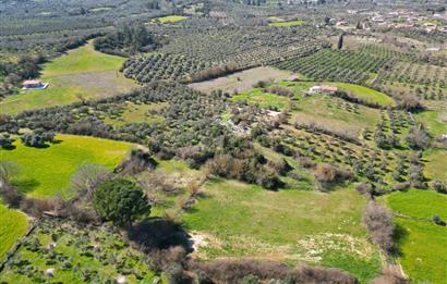 Muğla'da Satılık 5.381 m² Arazi