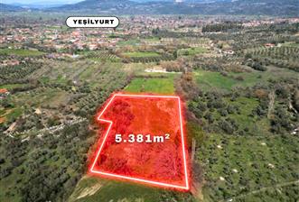Muğla'da Satılık 5.381 m² Arazi - 5 - 32594