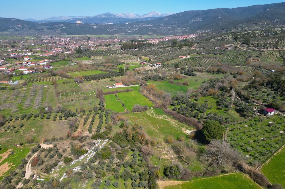 Muğla'da Satılık 5.381 m² Arazi