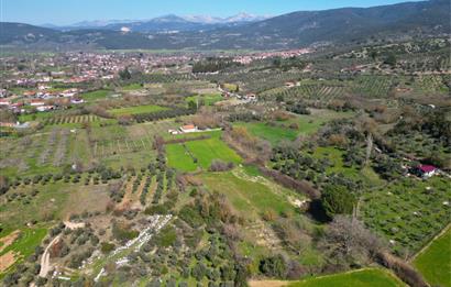 Muğla'da Satılık 5.381 m² Arazi