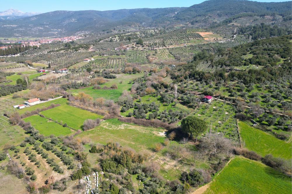 Muğla'da Satılık 5.381 m² Arazi