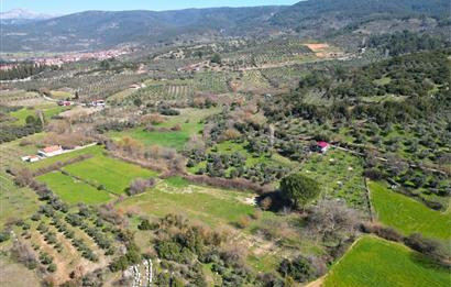 Muğla'da Satılık 5.381 m² Arazi