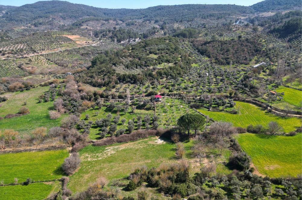 Muğla'da Satılık 5.381 m² Arazi