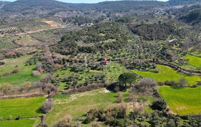 Muğla'da Satılık 5.381 m² Arazi