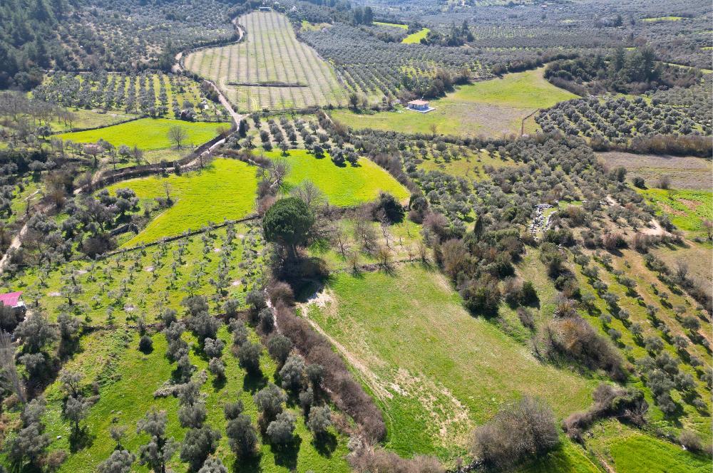 Muğla'da Satılık 5.381 m² Arazi