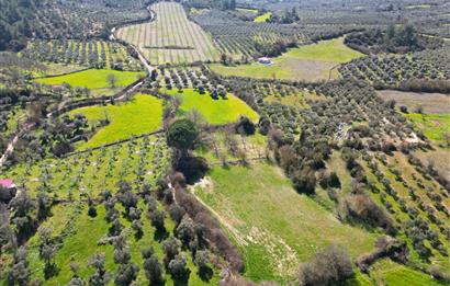 Muğla'da Satılık 5.381 m² Arazi