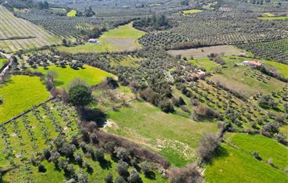 Muğla'da Satılık 5.381 m² Arazi