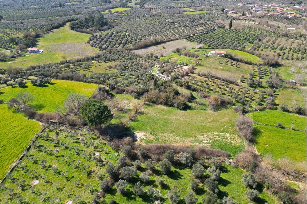 Muğla'da Satılık 5.381 m² Arazi