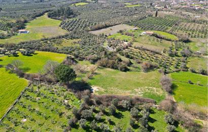 Muğla'da Satılık 5.381 m² Arazi