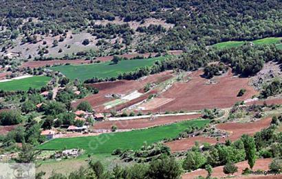 TURİSTİK BÖLGEYE KOMŞU KAÇIRILMAYACAK 4,149m2 ARSA