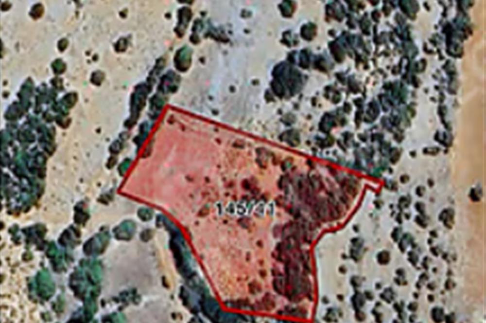 TURİSTİK BÖLGEYE KOMŞU KAÇIRILMAYACAK 4,149m2 ARSA