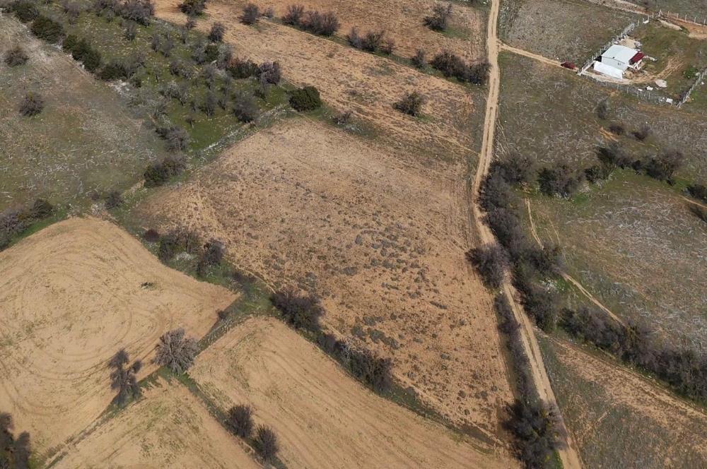 C21 LOFT'TAN SERİNHİSAR CUMHURİYET MAHALLESİ'NDE SATILIK TARLA