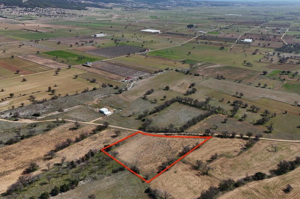 C21 LOFT'TAN SERİNHİSAR CUMHURİYET MAHALLESİ'NDE SATILIK TARLA