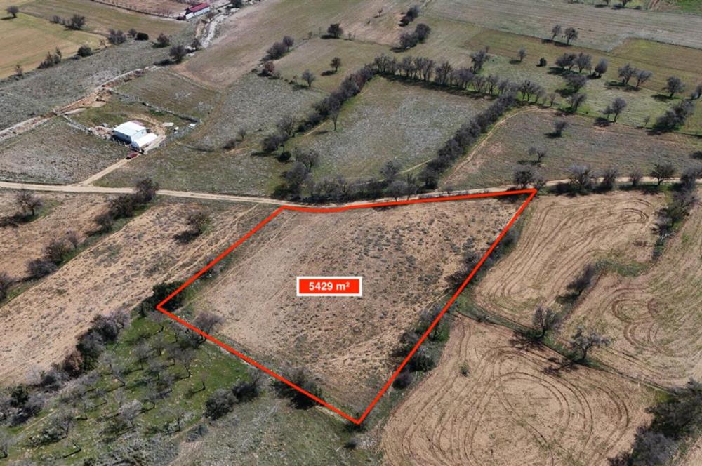 C21 LOFT'TAN SERİNHİSAR CUMHURİYET MAHALLESİ'NDE SATILIK TARLA