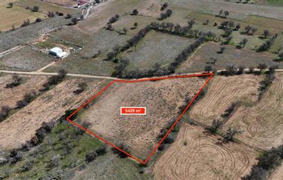 C21 LOFT'TAN SERİNHİSAR CUMHURİYET MAHALLESİ'NDE SATILIK TARLA