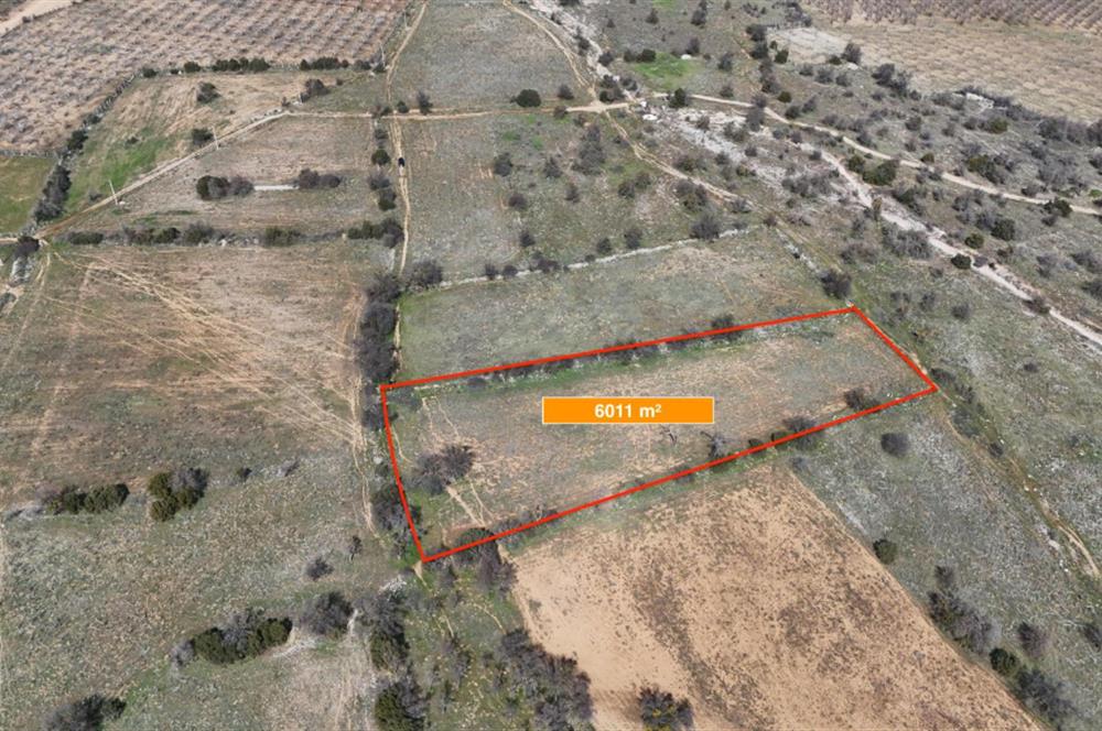 DENİZLİ SERİNHİSAR CUMHURİYET MAHALLESİ'NDE SATILIK 6011m2 TARLA