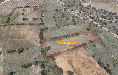 DENİZLİ SERİNHİSAR CUMHURİYET MAHALLESİ'NDE SATILIK 6011m2 TARLA