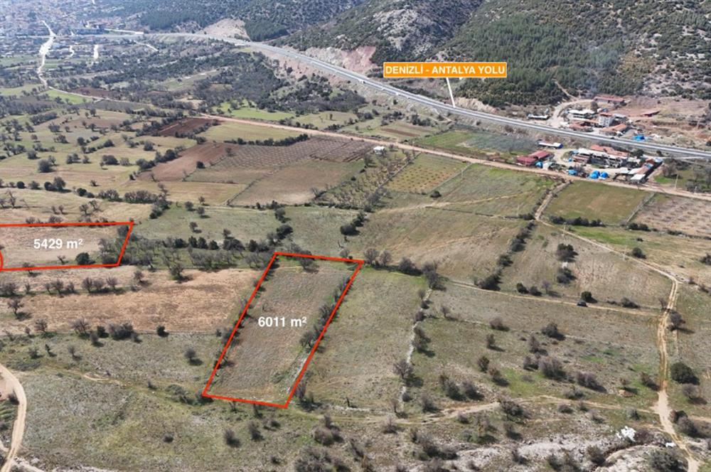 DENİZLİ SERİNHİSAR CUMHURİYET MAHALLESİ'NDE SATILIK 6011m2 TARLA