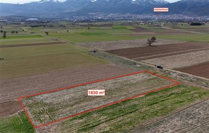 C21 LOFT'TAN DENİZLİ SERİNHİSAR'DA 1830m2 SATILIK TARLA