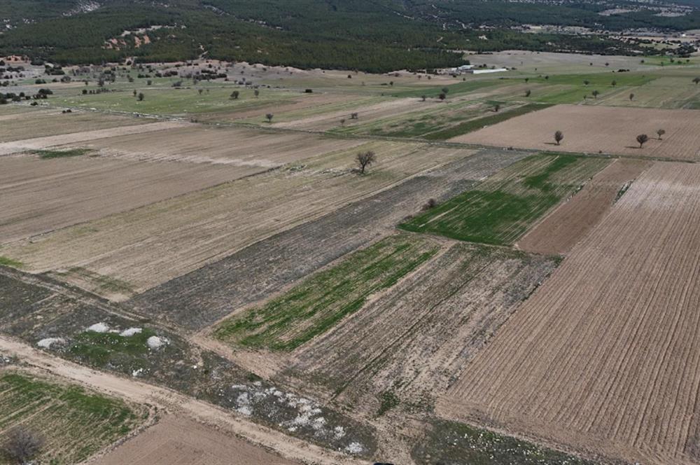 C21 LOFT'TAN DENİZLİ SERİNHİSAR'DA 1830m2 SATILIK TARLA