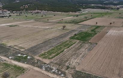 C21 LOFT'TAN DENİZLİ SERİNHİSAR'DA 1830m2 SATILIK TARLA