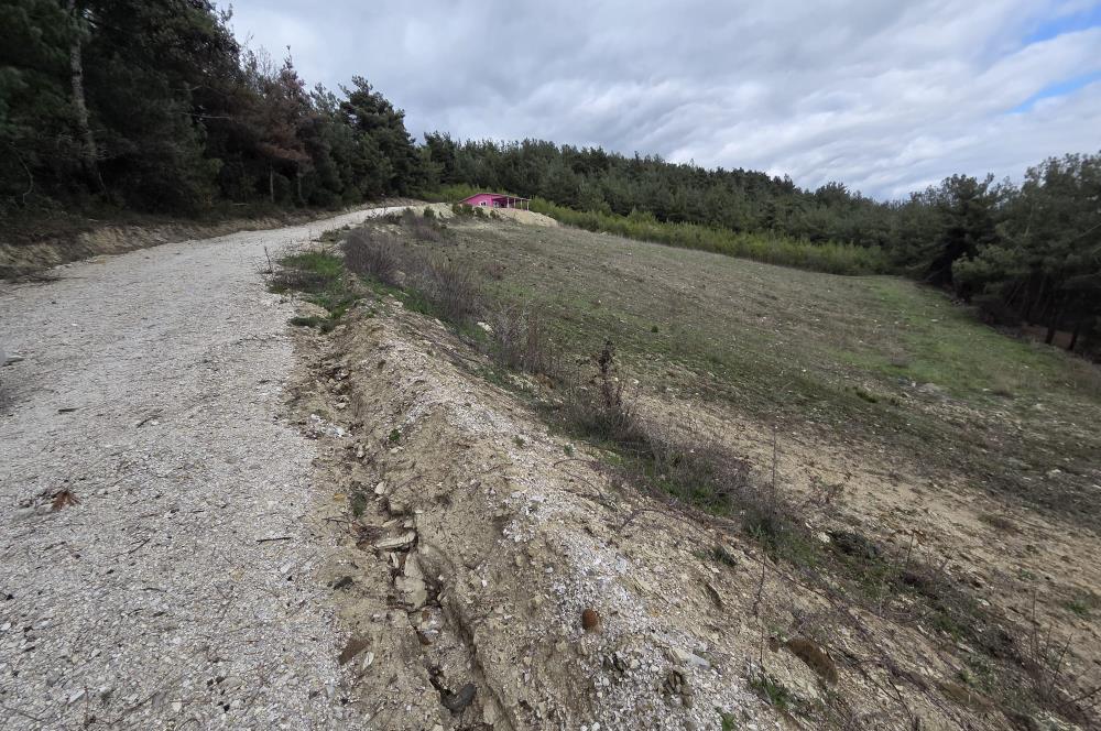 C21 BAL'DAN CİNGE MAH.DE SATILIK MÜSTAKİL EV ve 6 DÖNÜM TARLASI