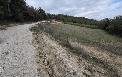 C21 BAL'DAN CİNGE MAH.DE SATILIK MÜSTAKİL EV ve 6 DÖNÜM TARLASI