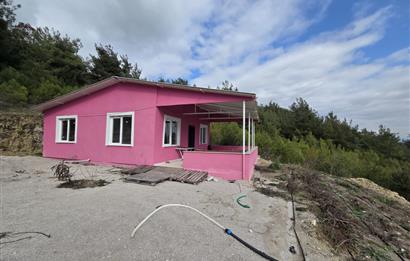 C21 BAL'DAN CİNGE MAH.DE SATILIK MÜSTAKİL EV ve 6 DÖNÜM TARLASI