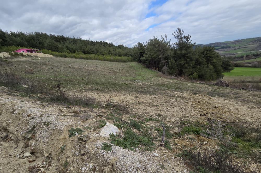 C21 BAL'DAN CİNGE MAH.DE SATILIK MÜSTAKİL EV ve 6 DÖNÜM TARLASI