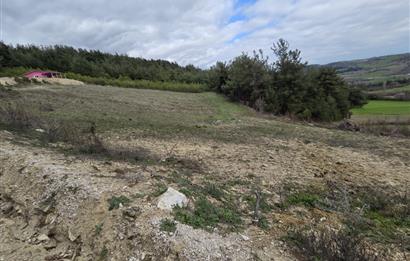 C21 BAL'DAN CİNGE MAH.DE SATILIK MÜSTAKİL EV ve 6 DÖNÜM TARLASI