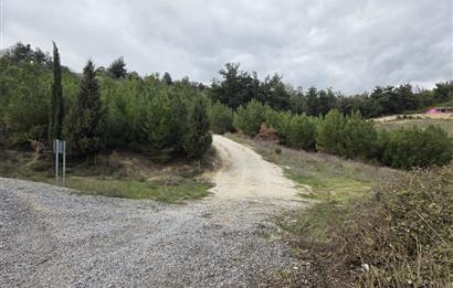 C21 BAL'DAN CİNGE MAH.DE SATILIK MÜSTAKİL EV ve 6 DÖNÜM TARLASI