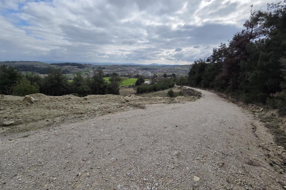 C21 BAL'DAN CİNGE MAH.DE SATILIK MÜSTAKİL EV ve 6 DÖNÜM TARLASI