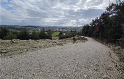 C21 BAL'DAN CİNGE MAH.DE SATILIK MÜSTAKİL EV ve 6 DÖNÜM TARLASI