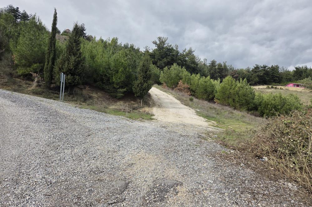 C21 BAL'DAN CİNGE MAH.DE SATILIK MÜSTAKİL EV ve 6 DÖNÜM TARLASI