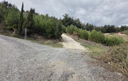 C21 BAL'DAN CİNGE MAH.DE SATILIK MÜSTAKİL EV ve 6 DÖNÜM TARLASI