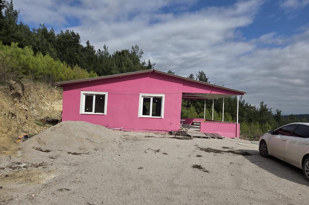 C21 BAL'DAN CİNGE MAH.DE SATILIK MÜSTAKİL EV ve 6 DÖNÜM TARLASI