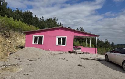 C21 BAL'DAN CİNGE MAH.DE SATILIK MÜSTAKİL EV ve 6 DÖNÜM TARLASI