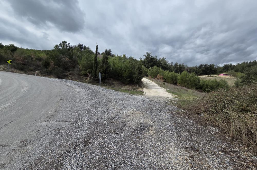 C21 BAL'DAN CİNGE MAH.DE SATILIK MÜSTAKİL EV ve 6 DÖNÜM TARLASI